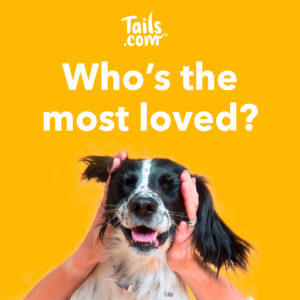 Whos the most loved