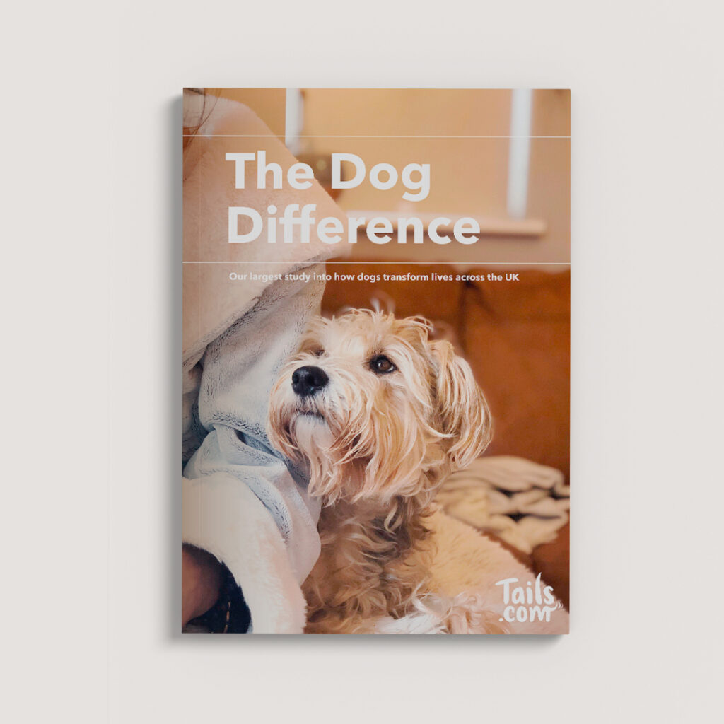 The dog difference report