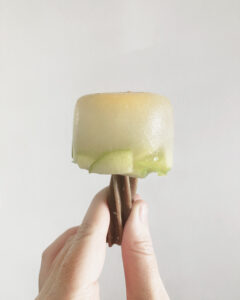 chicken and apple pupsicles