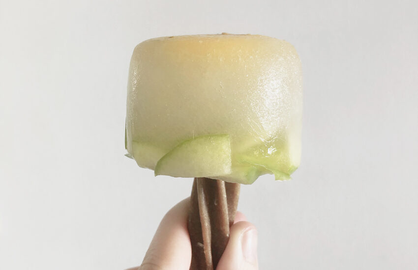chicken and apple pupsicles