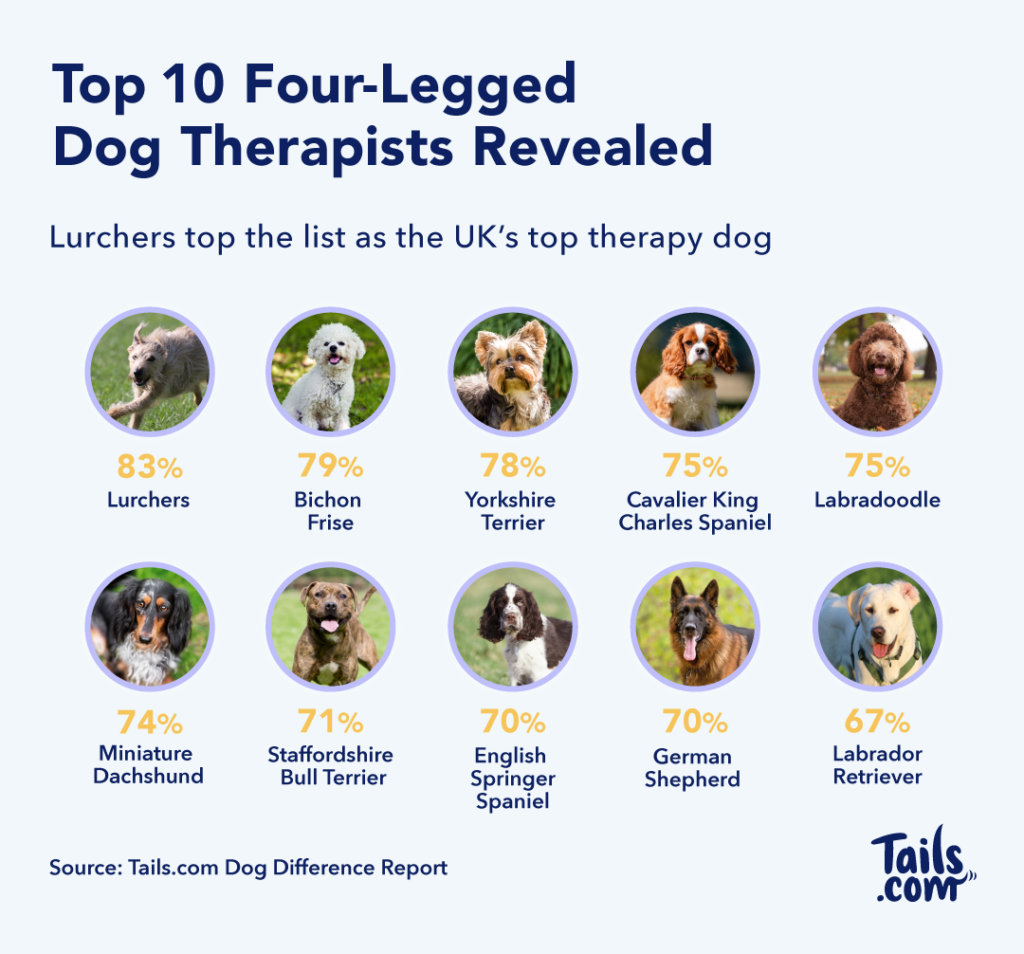 Dog therapy 2025 for anxiety