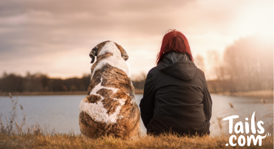 10 Dog Breeds to Help With Post-Lockdown Anxiety