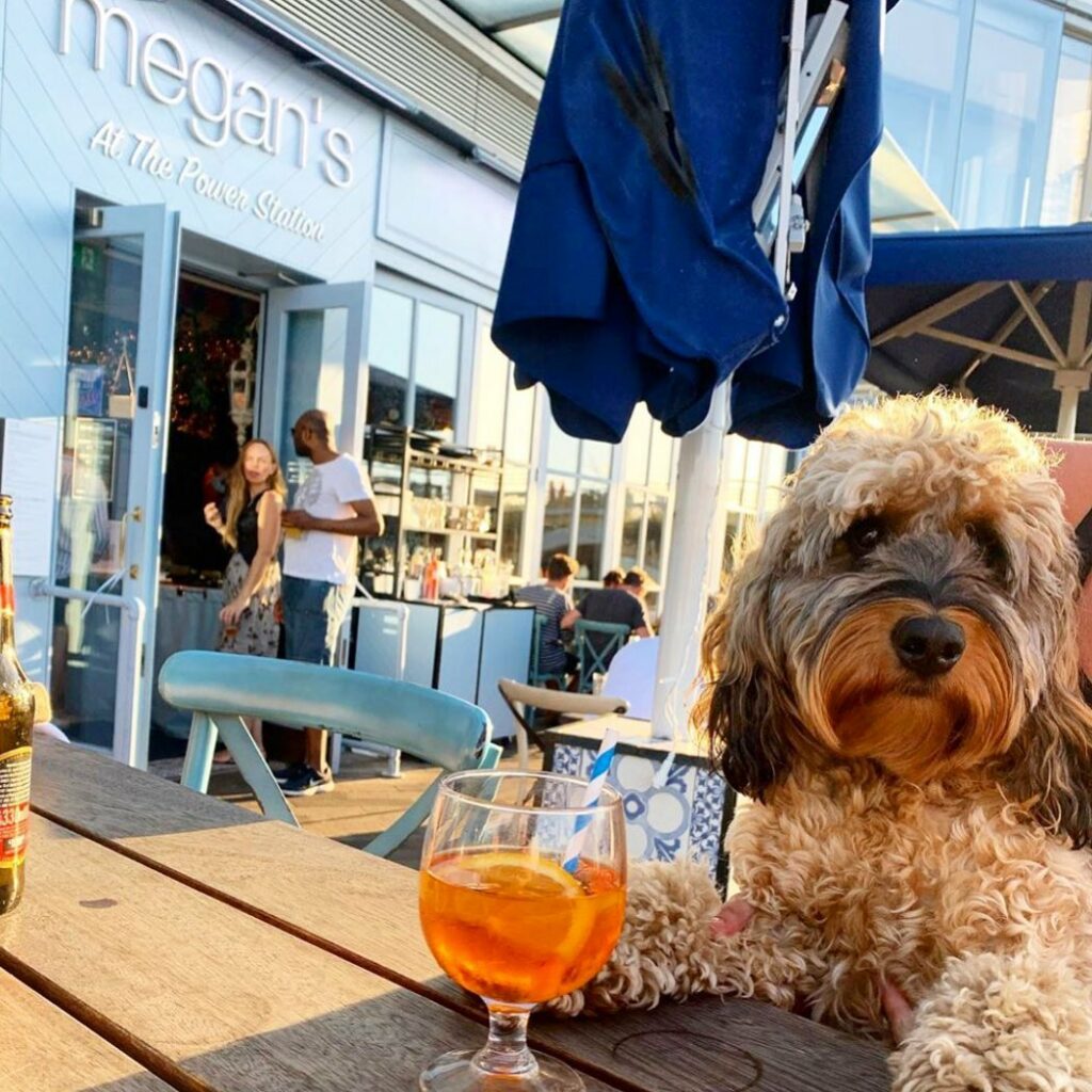 Dog friendly restaurant: Megan's at the Power Station