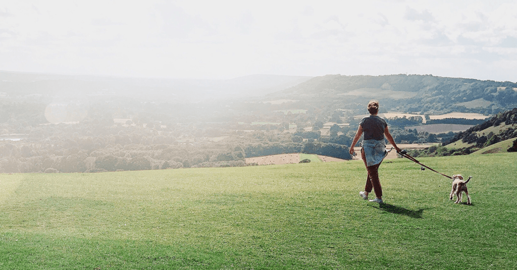 Discover The 7 Best Dog Walks In The UK