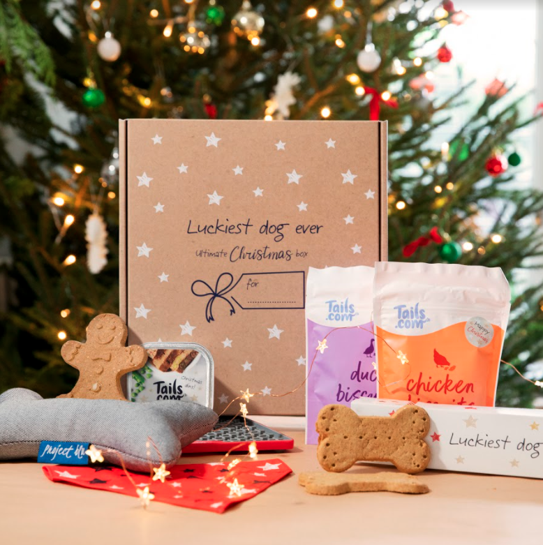 5 Woof Tastic Christmas Gift Ideas For Your Pooch