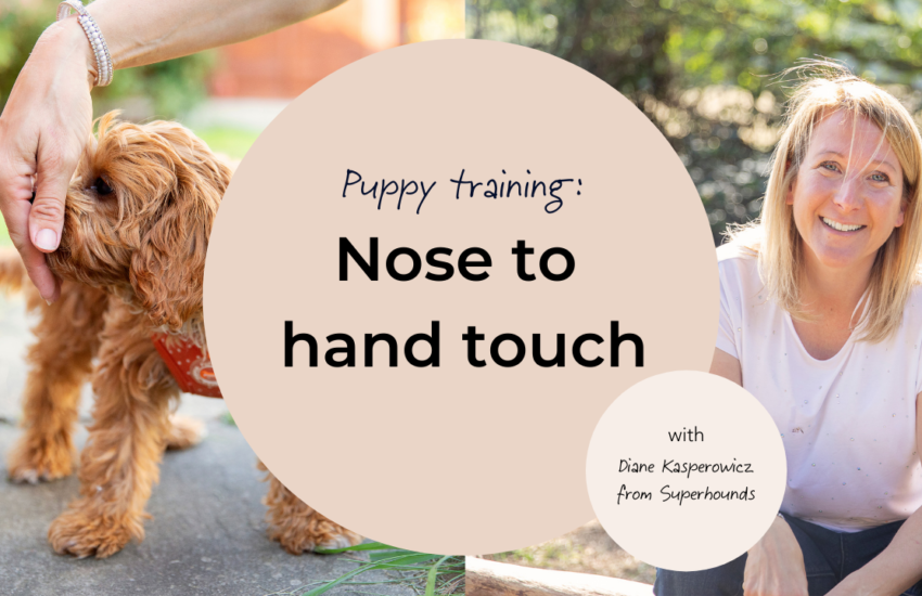 Nose to hand touch