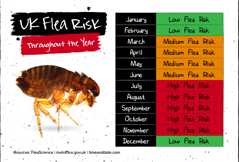 flea calendar