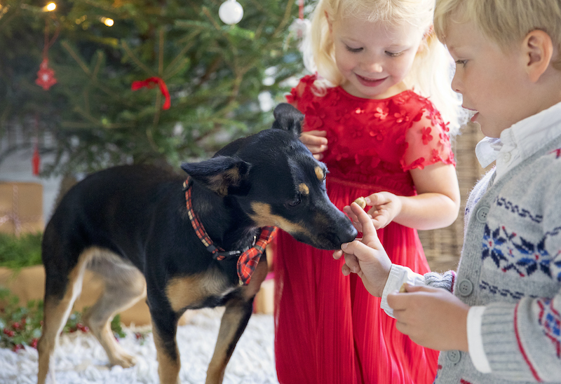 Children share a treat with Marnie on Christmas Day