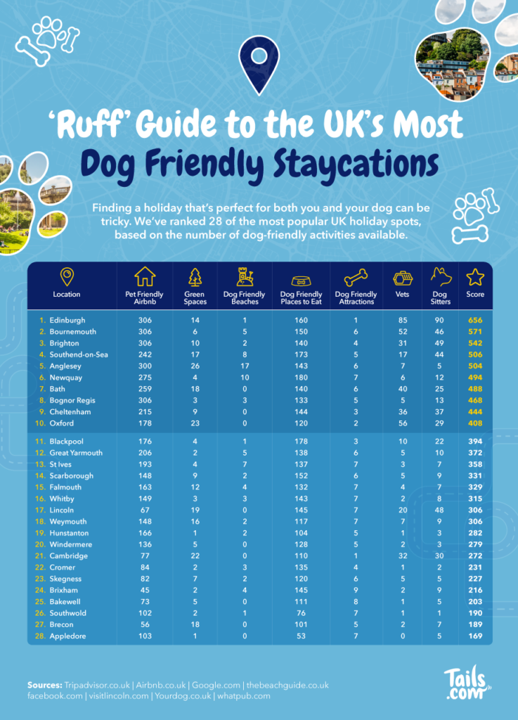 Dog friendly sales holiday destinations