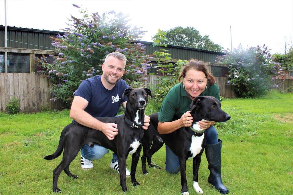 getting a rescue dog