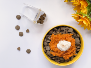 dog-friendly pumpkin pie