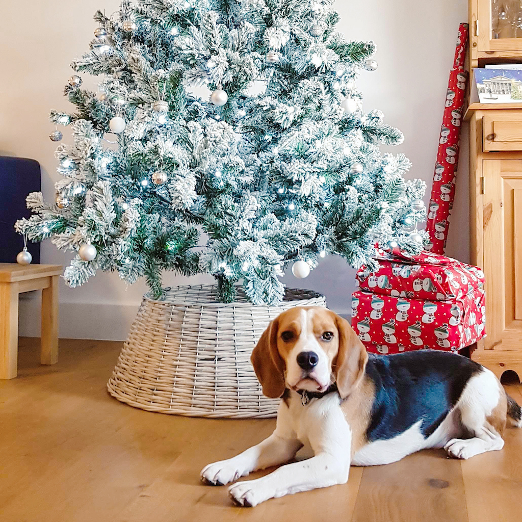 baloo under the christmas tree