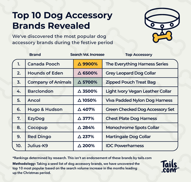 The 10 Best Dog Apparel Brands