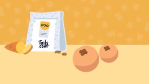 Autumn-themed graphic with illustrated spooky eyeballs dog treats, sweet potato and tails.com kibble bag