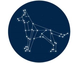 Navy circle, stars connected in shape of dog