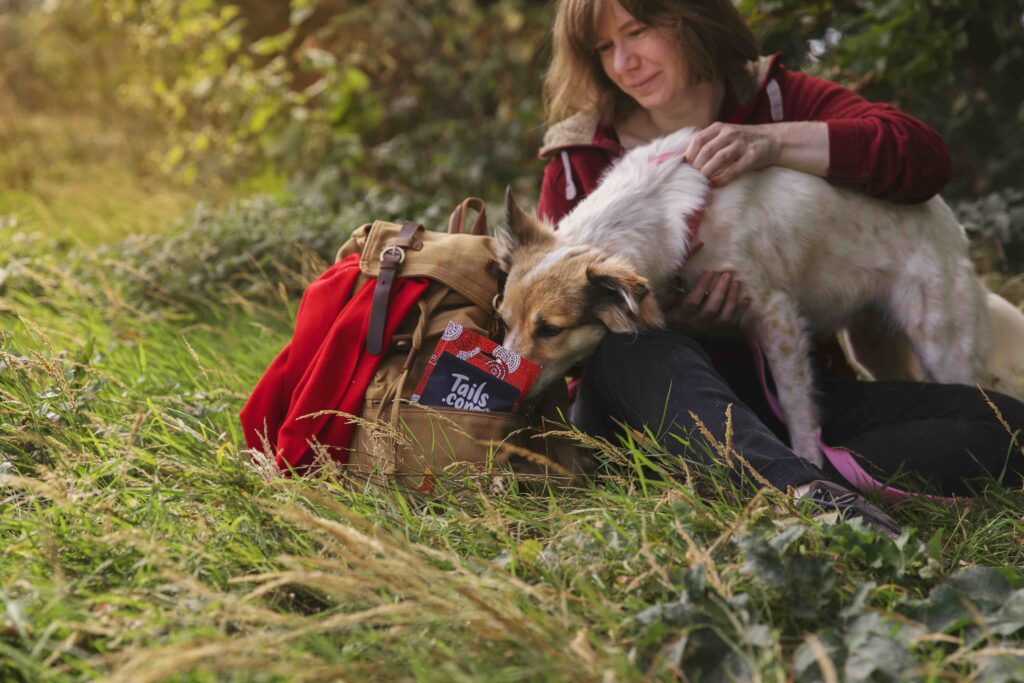 Collie cross rescue dog intently sniffing Seriously Meaty Treats packet in owner's bag