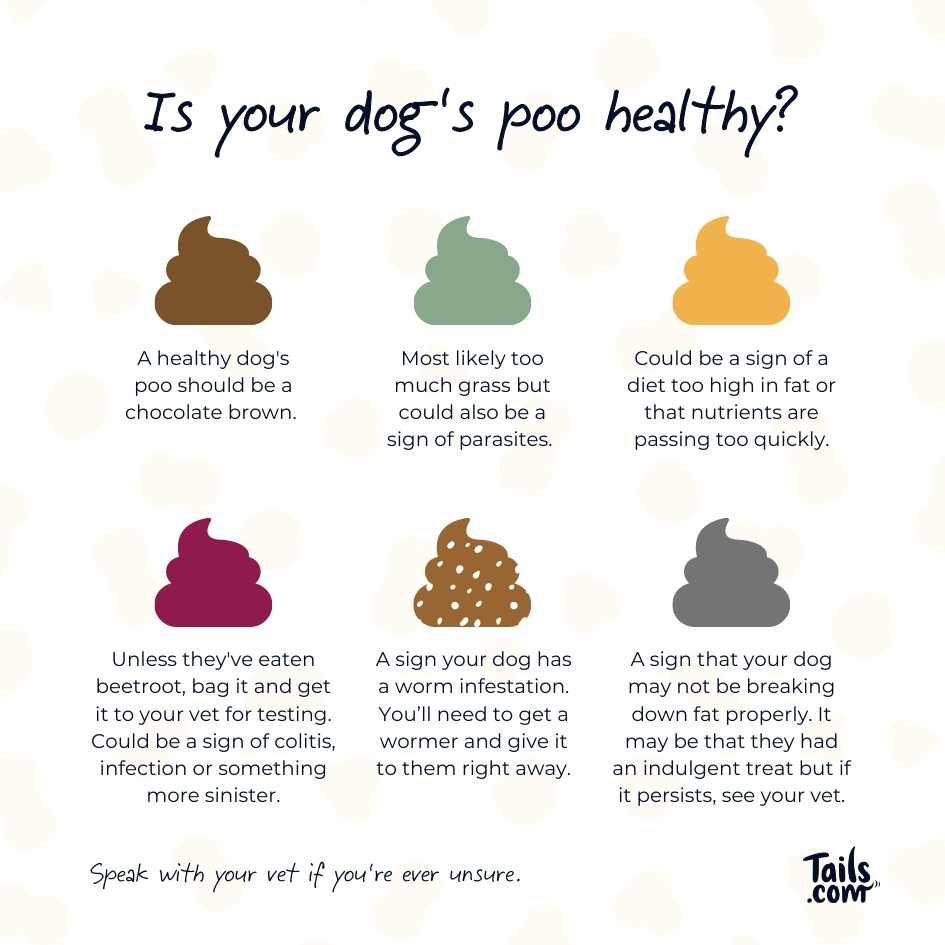 Coloured cartoon dog poos showing the different shades it can be