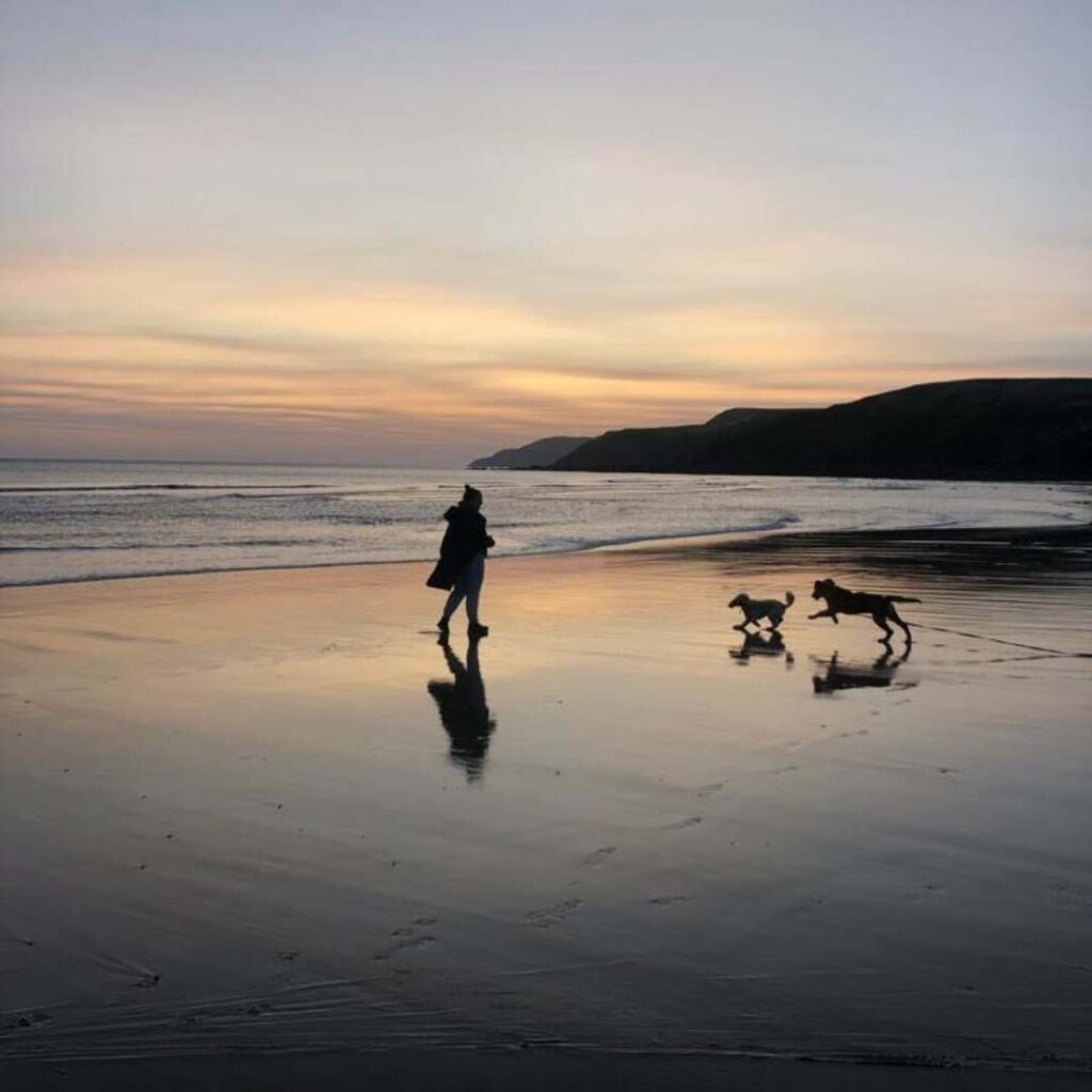 Silhouette of person and 2 dogs at Pease Bay at sunset in the distance, dogs running excitedly towards person