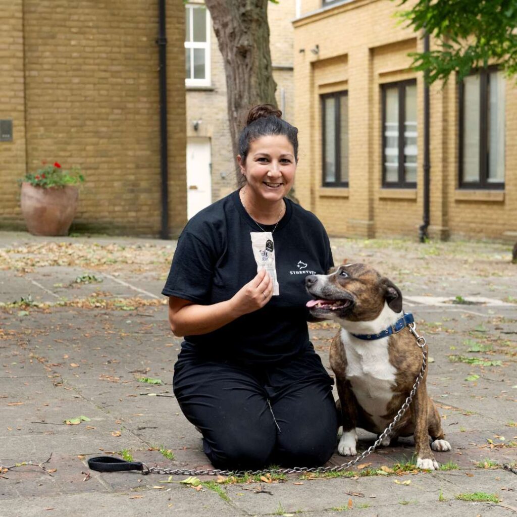 Jade Statt, StreetVet's Co-Founder kneeling down holding a packet of Good Dog Treats with a StreetVet donation sticker on, with Bailey, a brown and white Staffordshire Terrier and StreetVet graduate