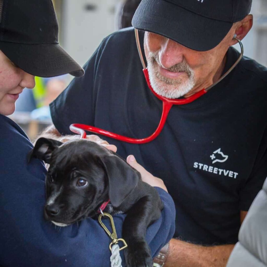 A StreetVet volunteer holds a small, black puppy while another volunteer vet uses a stethoscope to listen to the puppy's breathing