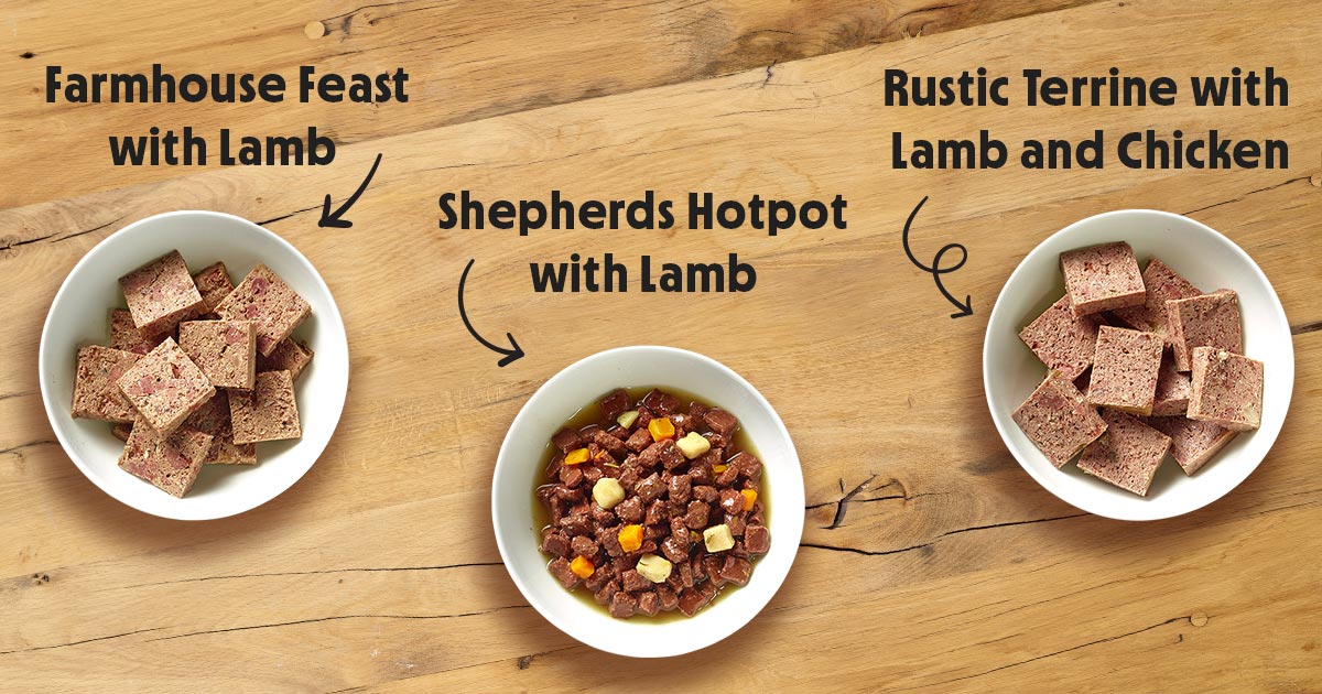 Is lamb good for dogs? Expert advice from our nutritionist - Tails.com Blog