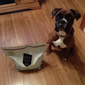 Puppy Food