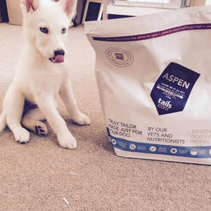 Puppy Food