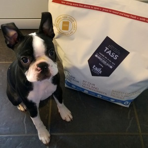 Puppy Food